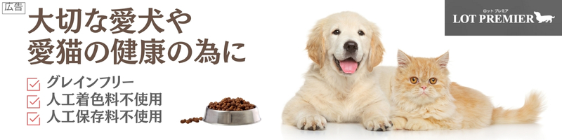 �O���C���t���[�ň����A���L�����N�y���b�g�v���~�A�h���C�t�[�h�z���T�C�g